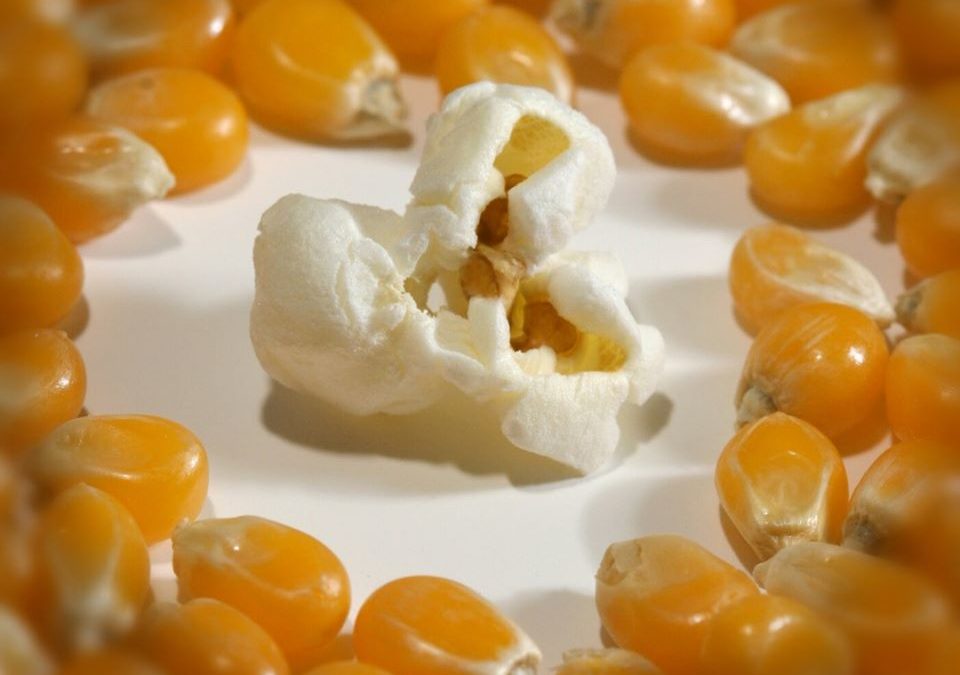 Eiaculazione precoce